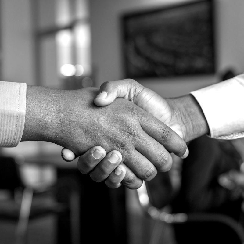 Business handshake closing a new partnership